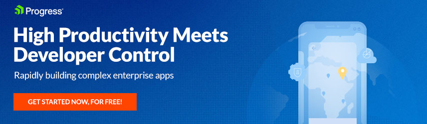 Free Whitepaper: The Cost of an Enterprise Mobile Strategy