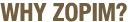 Why Zopim Live Chat?